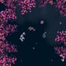 Imagen de perfil de Artist in STEM
